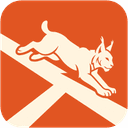 lynxum